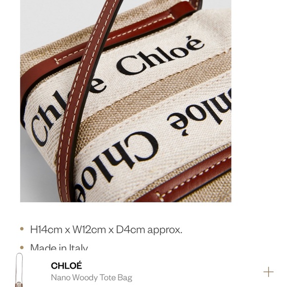 CHLOE Nano Woody crossbody bag (pre loved in great condition) - Picture 2 of 10